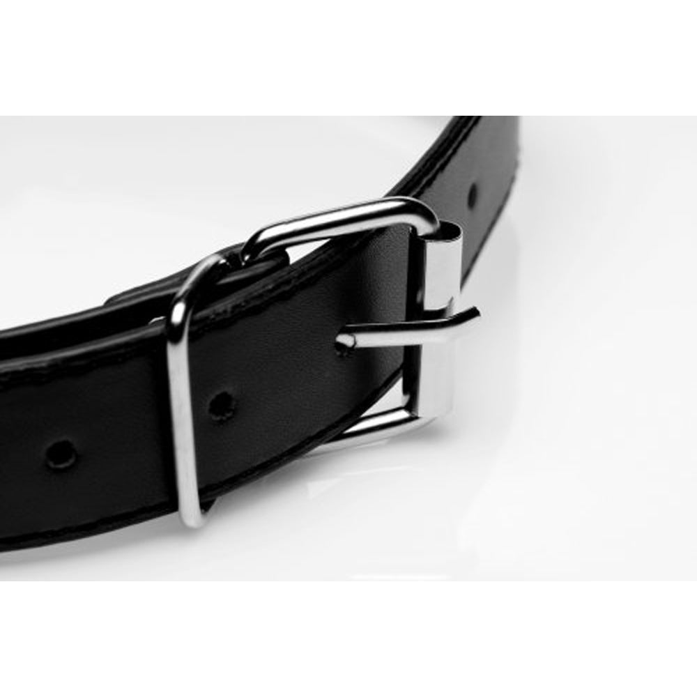 Black leather collar with a silver buckle and strap.