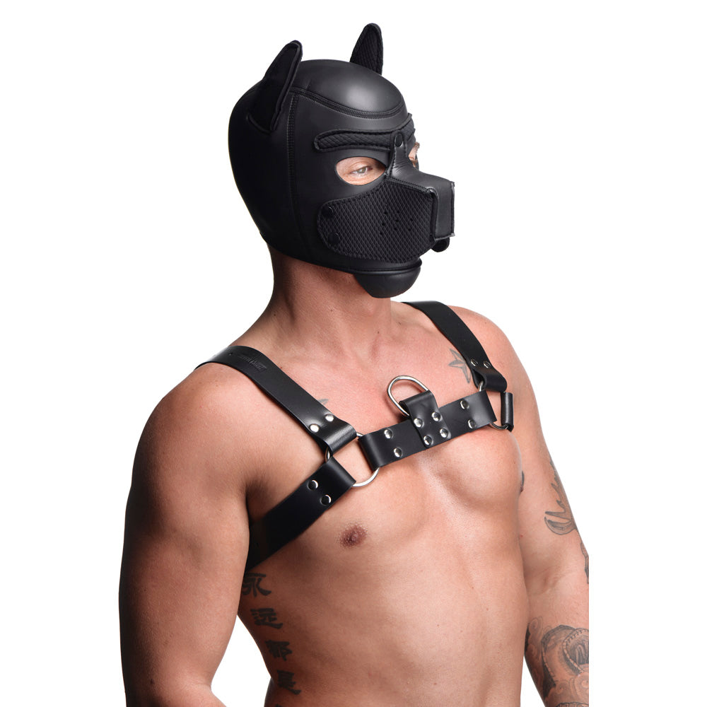 Black neoprene puppy hood with harness and removable muzzle.