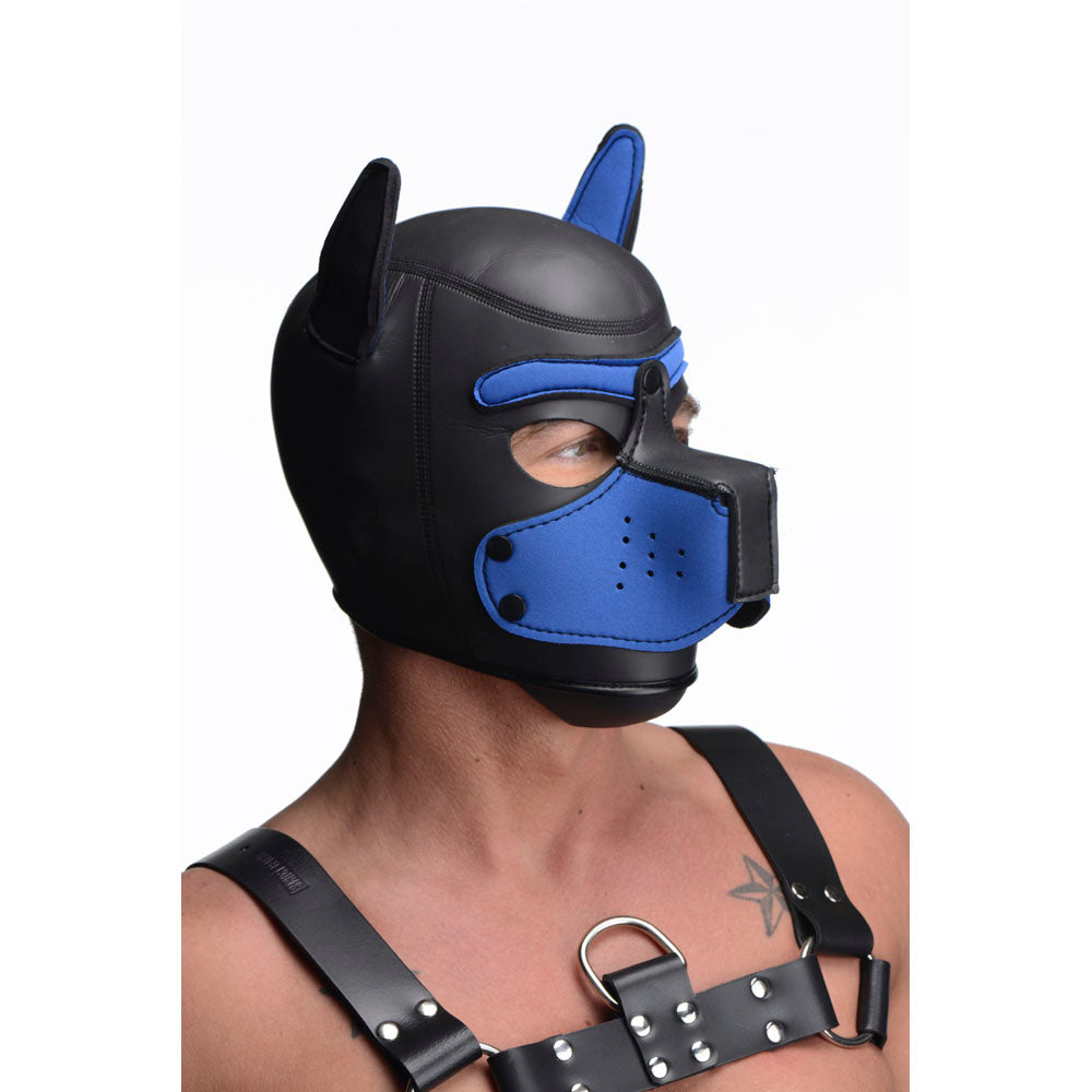 Black and blue neoprene puppy play hood with a removable muzzle.
