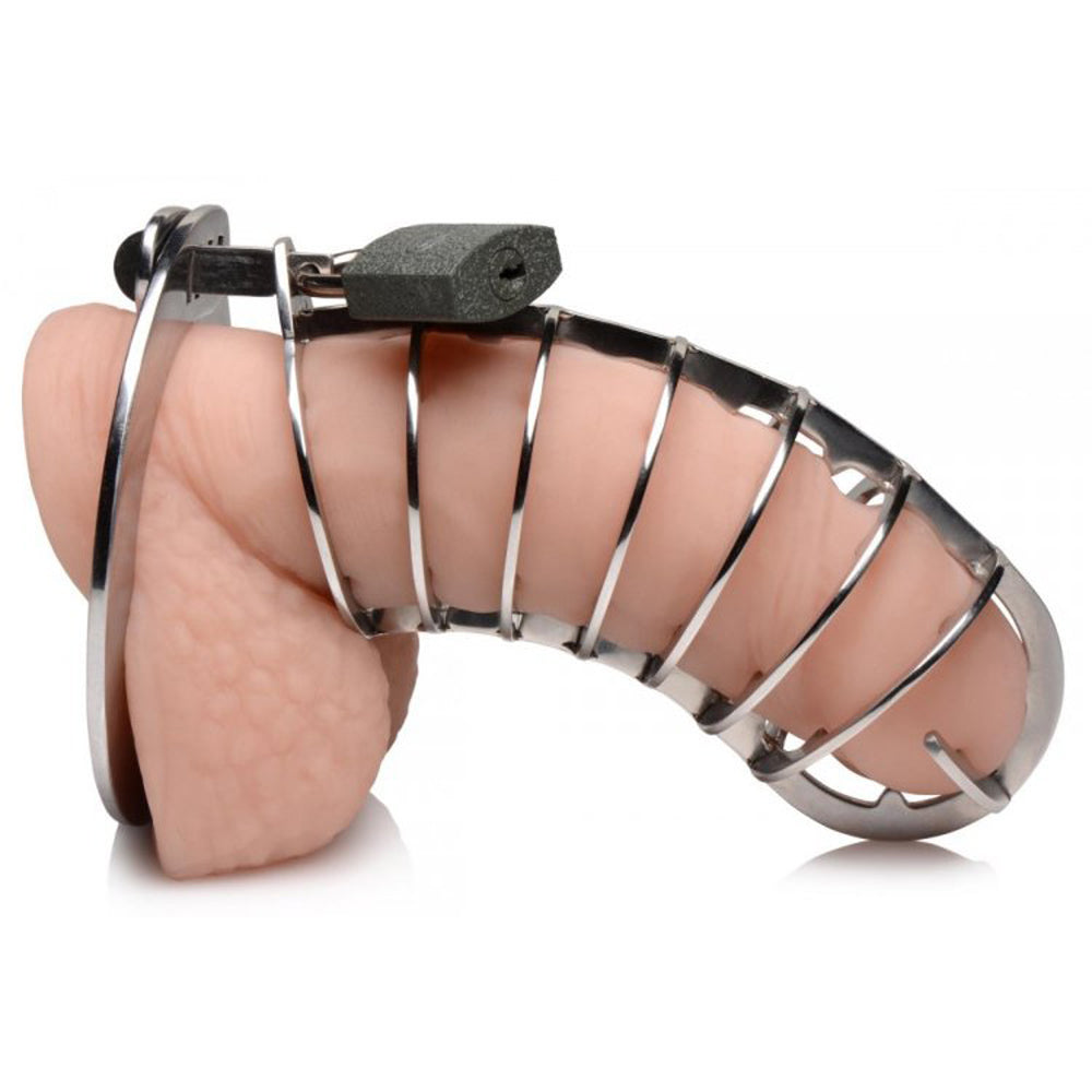 Stainless steel spiked chastity cage with adjustable base.