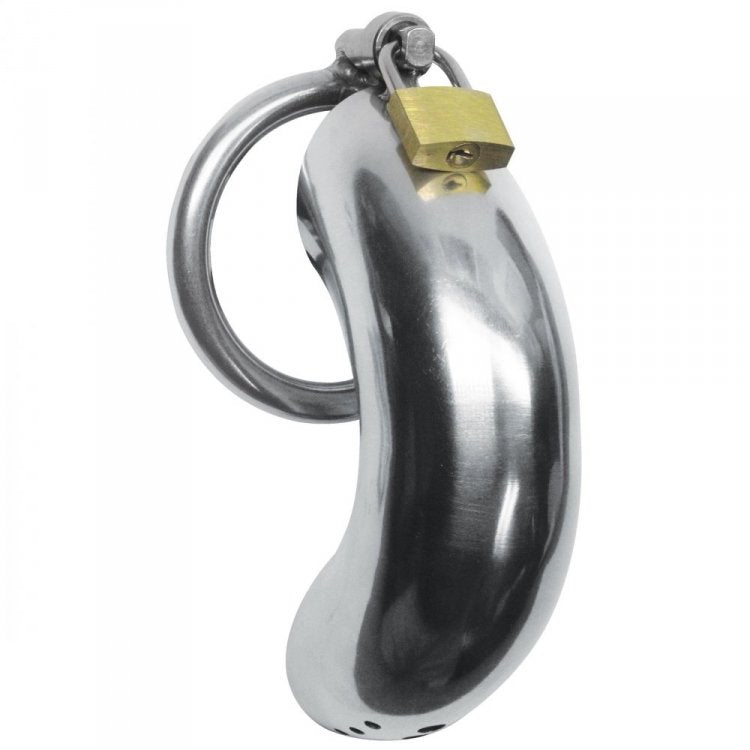 Stainless steel chastity cage with a ring and padlock.