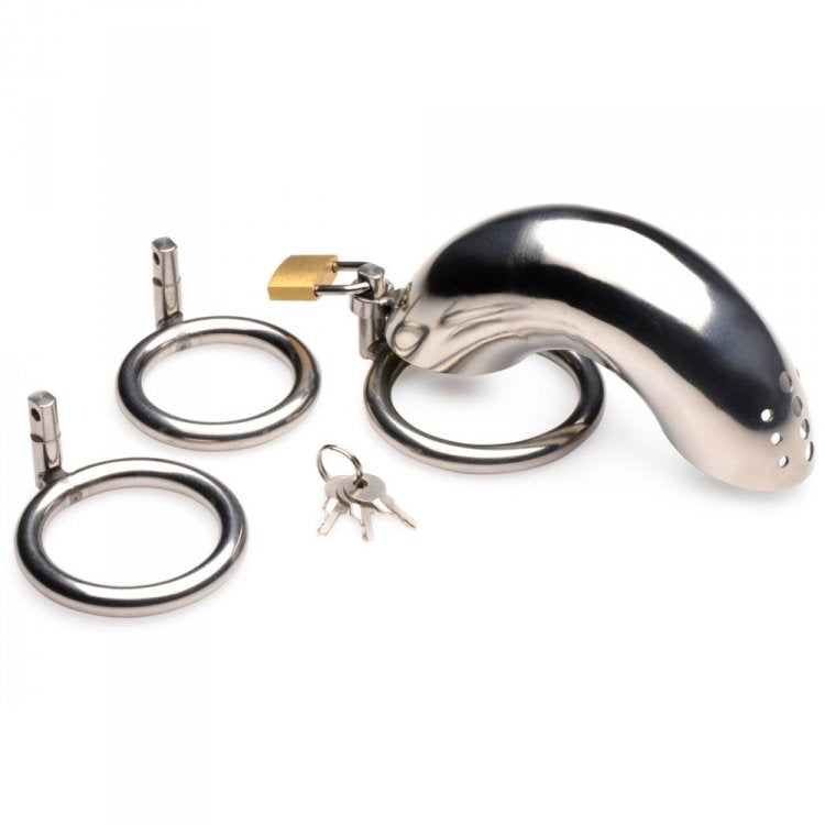 Stainless steel chastity cage with three rings, padlock, and keys.