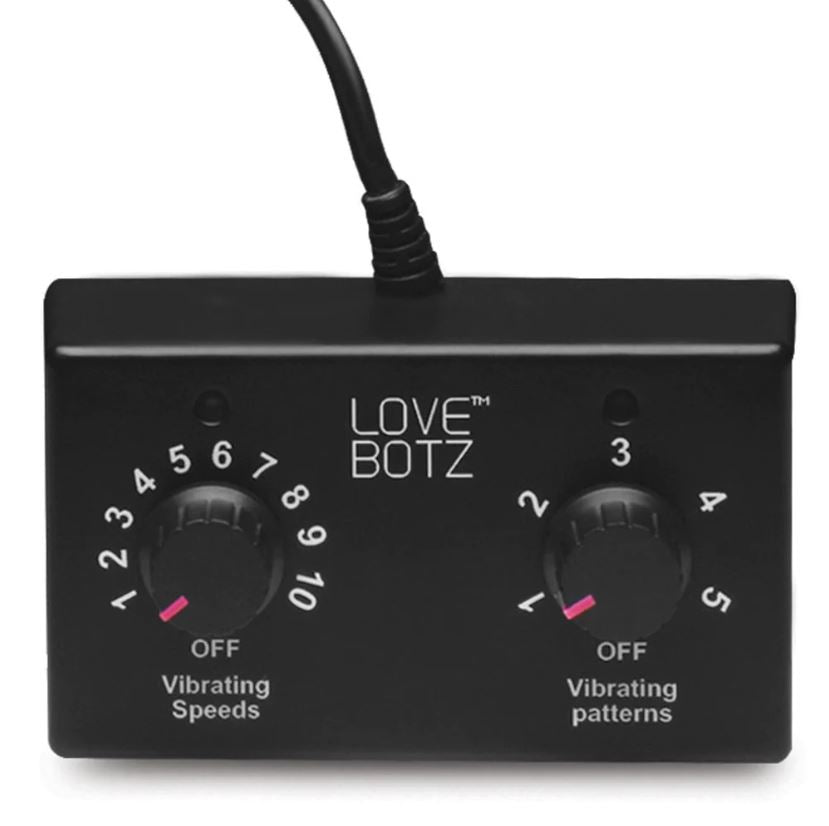 Black control box for a sex machine with two dials for speed and pattern selection.