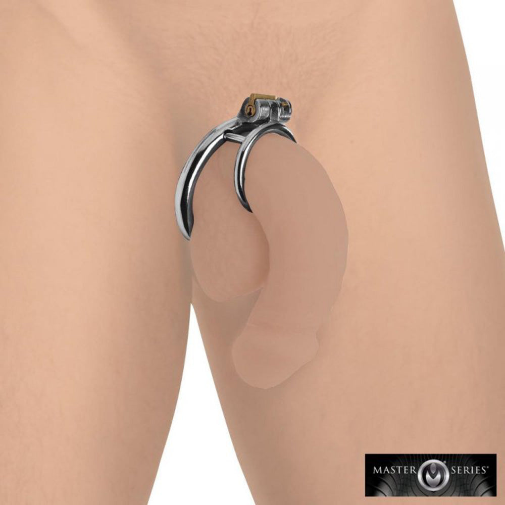 Stainless steel locking cock and ball ring set from Master Series, with rings and gold pin.