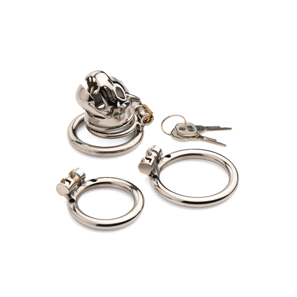 A silver locking chastity cage with a cougar design and two rings.