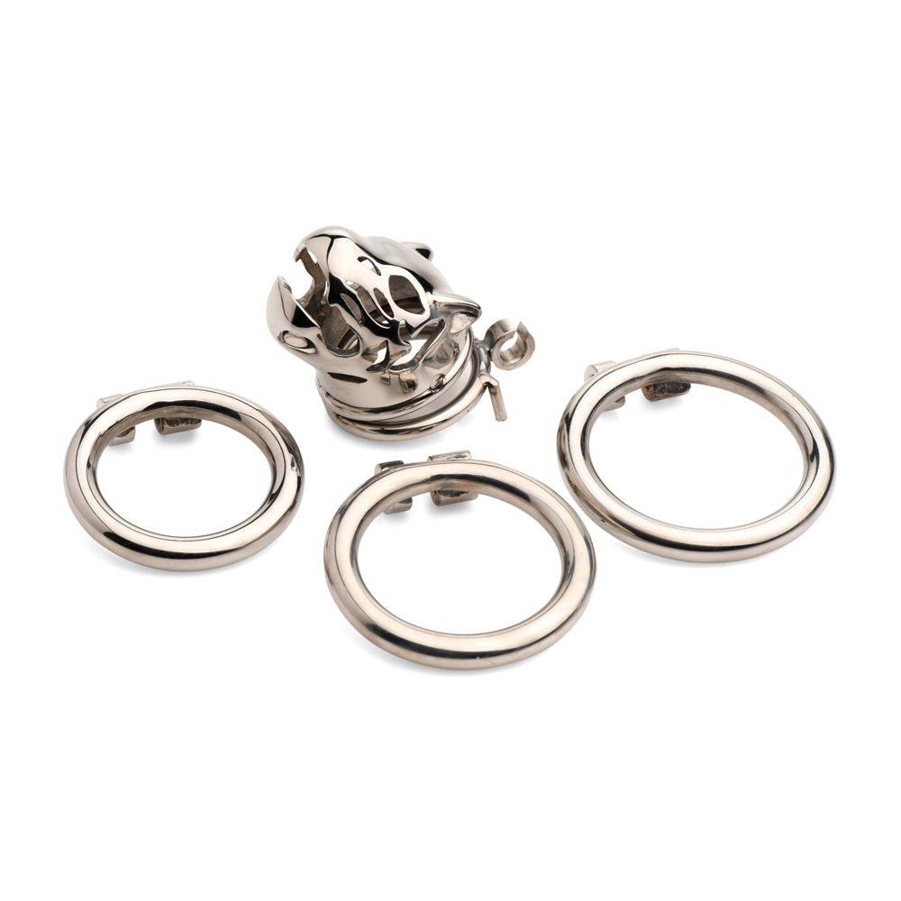 Silver chastity cage with a cougar head design and three rings.