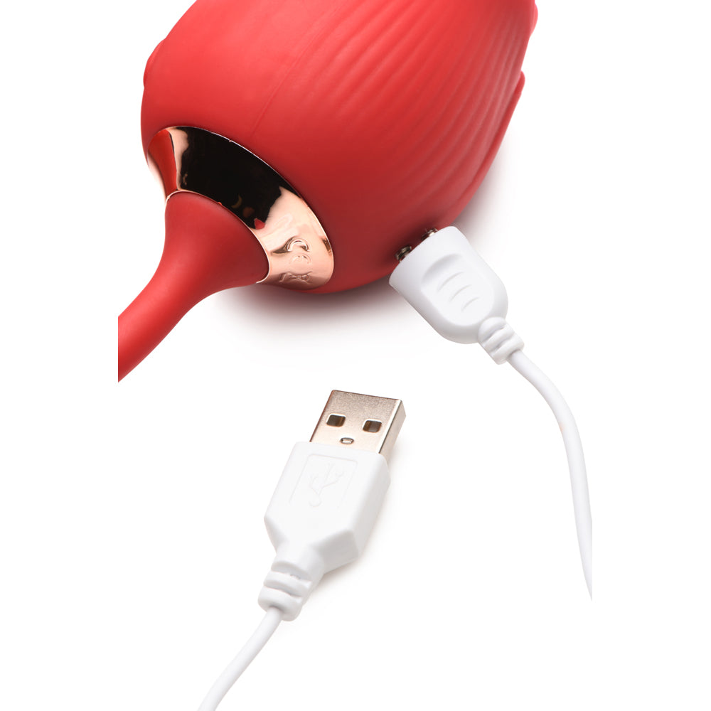 Red rose-shaped vibrator with USB charging cable.