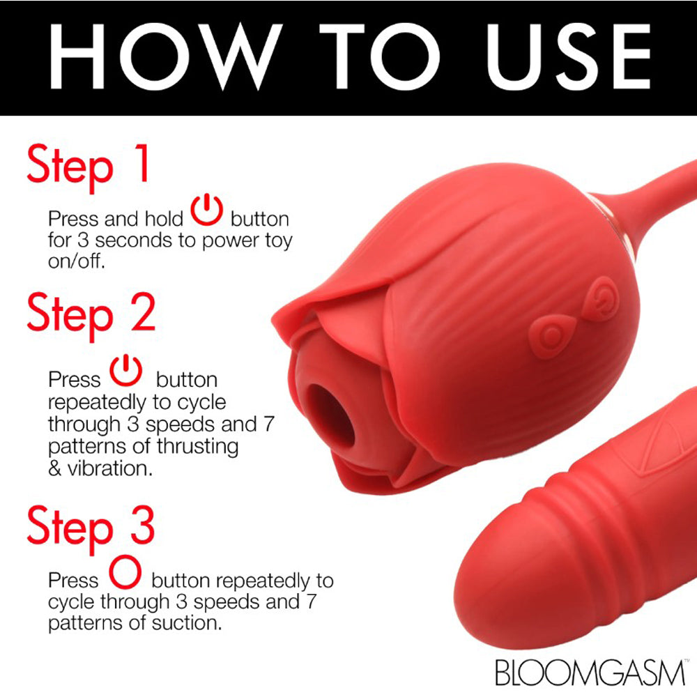 Red rose-shaped vibrator with instructions for use.