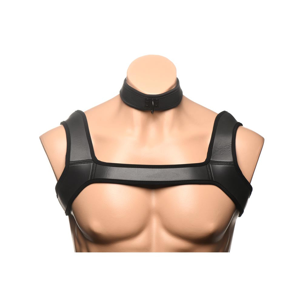 Black leather chest harness and collar on a mannequin.