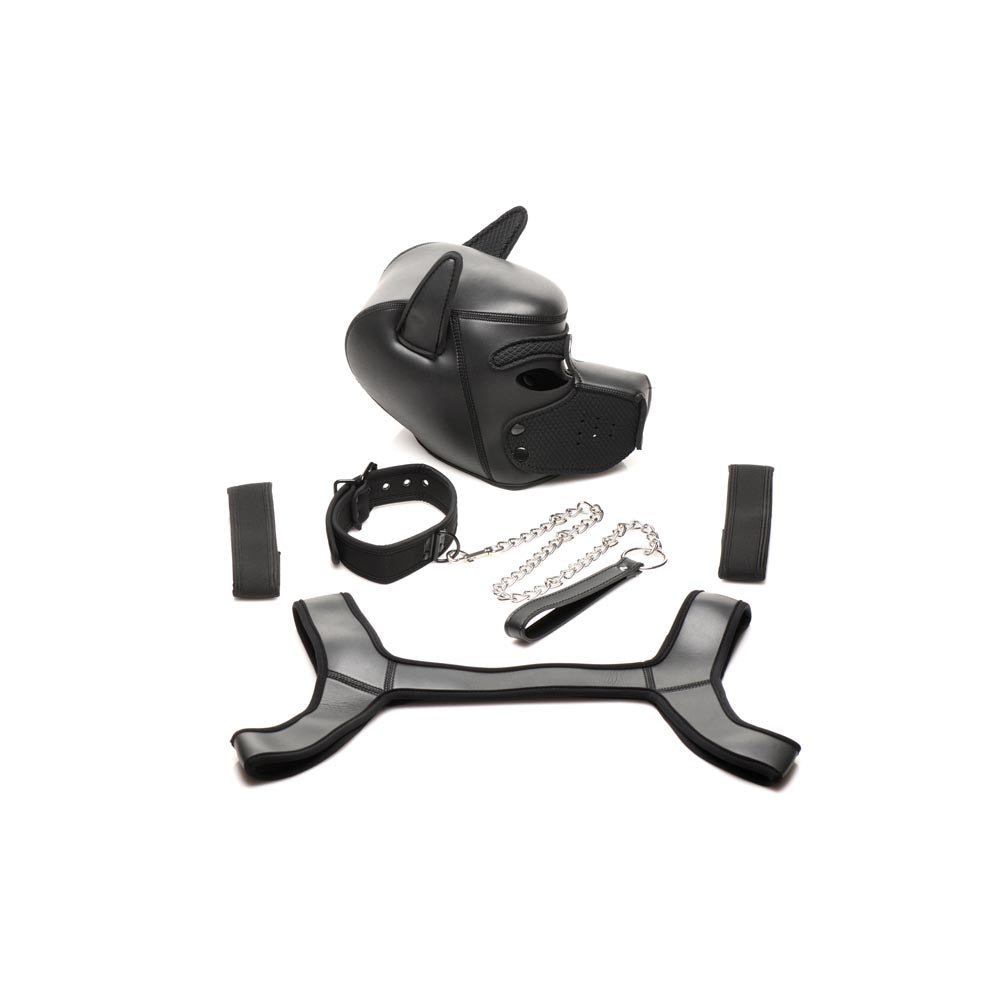 Black neoprene puppy play kit with hood, collar, leash, harness, and arm bands.