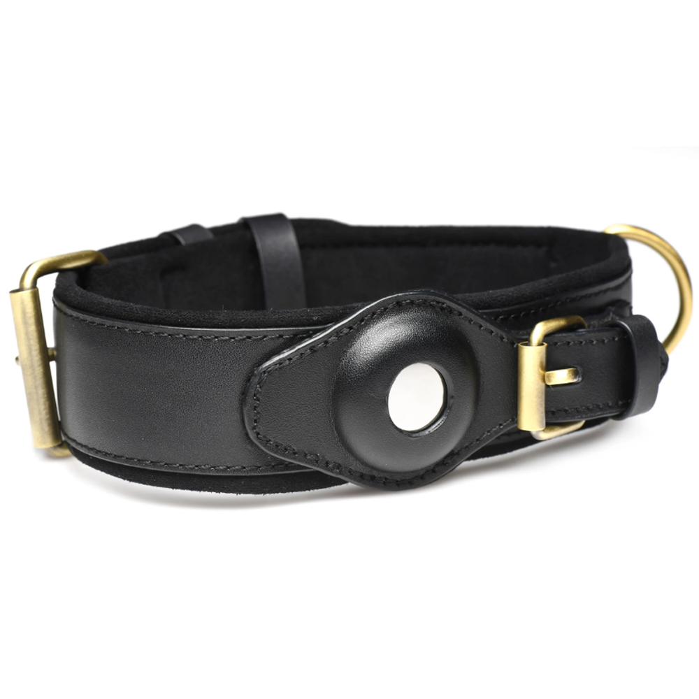 Black faux leather collar with brass hardware and a circular cutout.