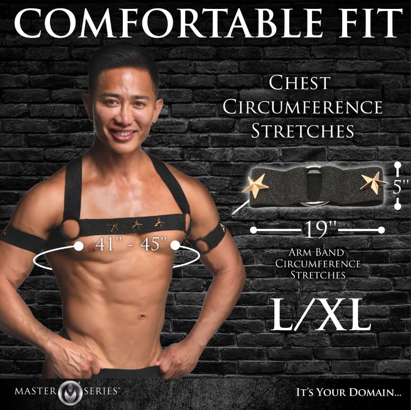 Black chest harness and arm bands set with gold stars, size L/XL.