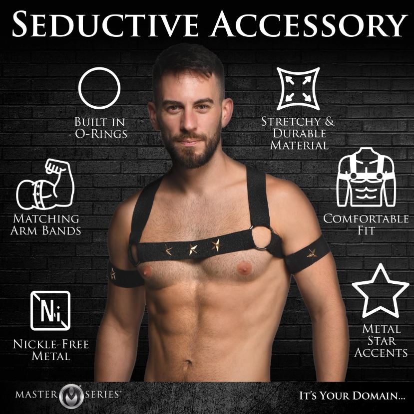 Black chest harness with arm bands featuring metal stars.