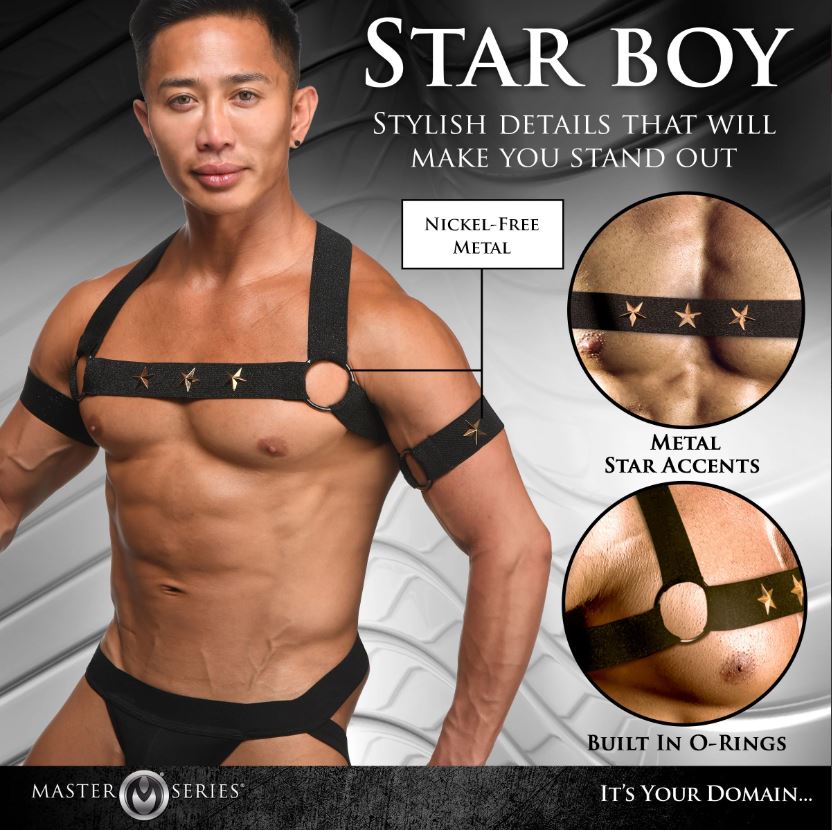 Black chest harness and arm bands with metal star accents.