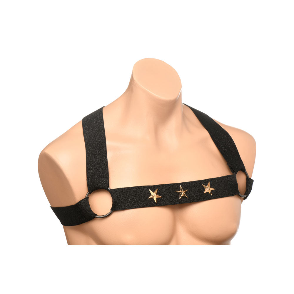 Black stretchy chest harness with arm bands featuring silver stars.