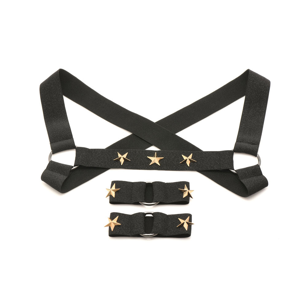 Black stretchy chest harness and arm bands with gold stars.