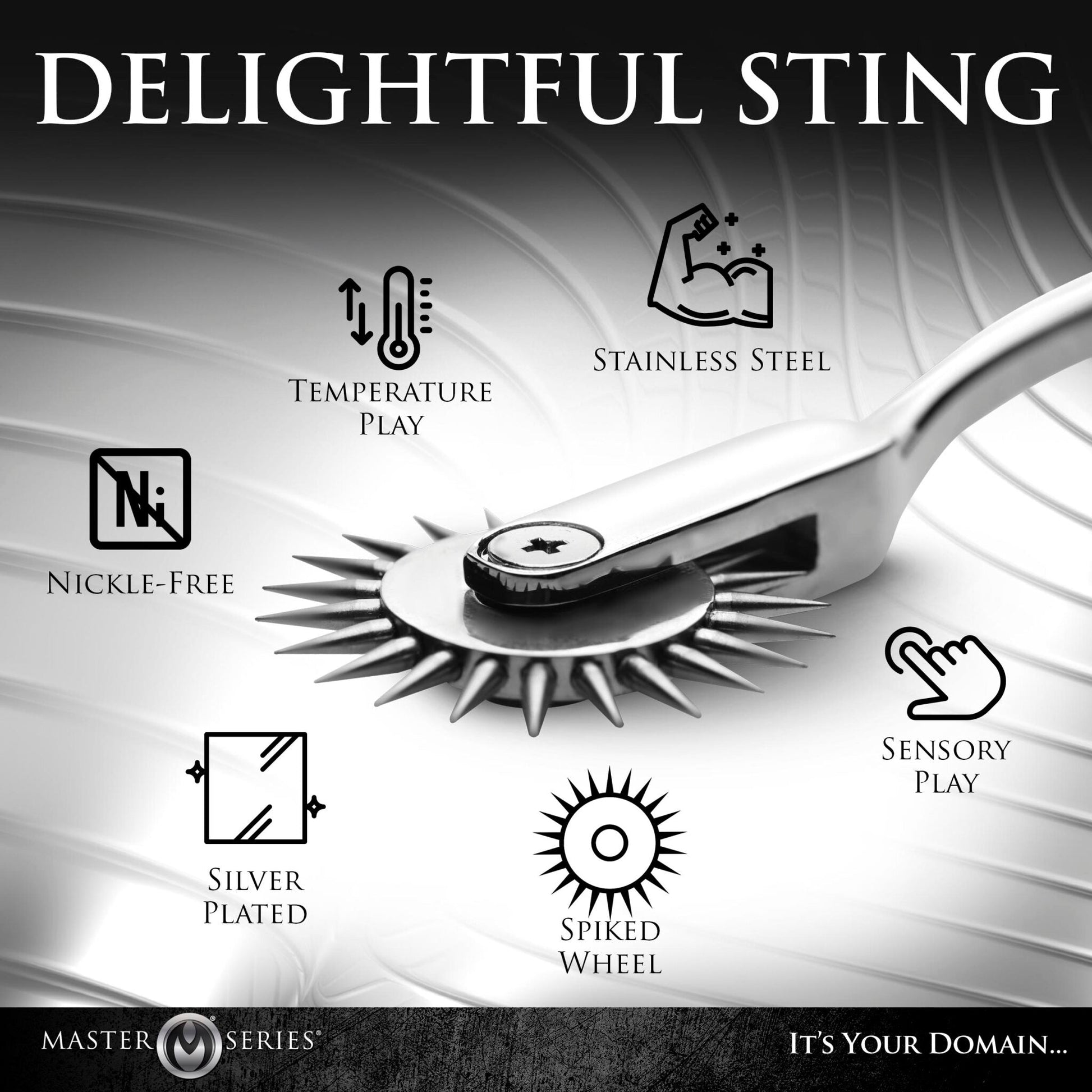 Wartenberg pinwheel sensation toy made of stainless steel.