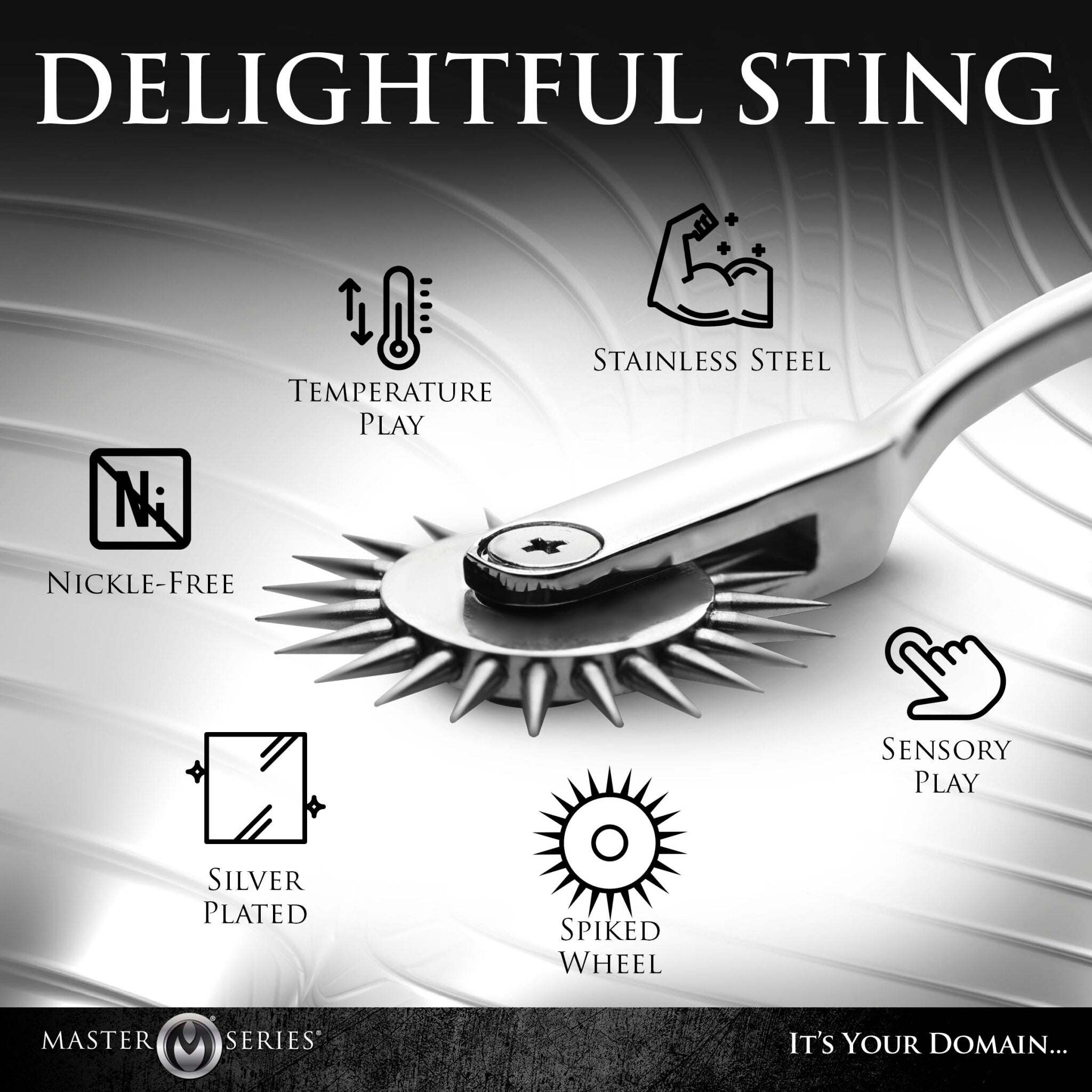 Wartenberg pinwheel sensation toy made of stainless steel.