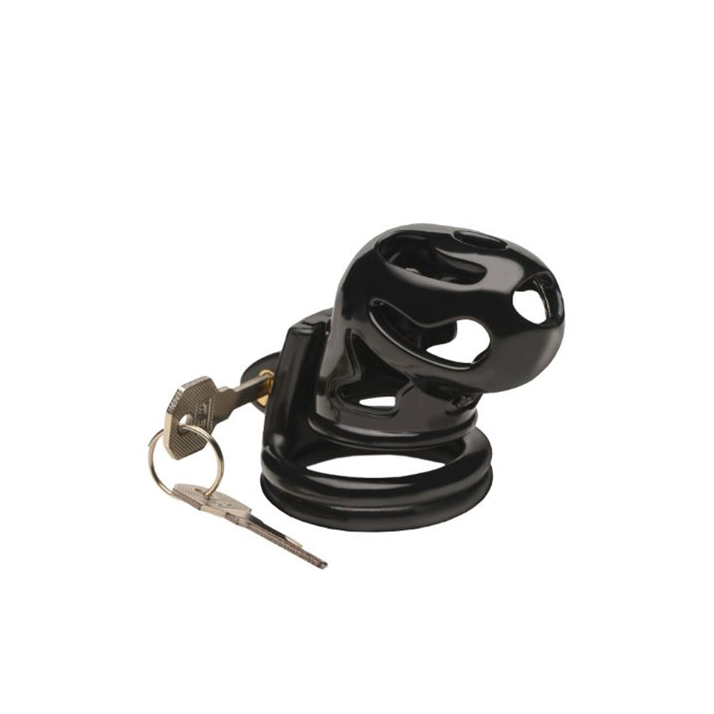 Black plastic chastity cage with two keys and a ring.