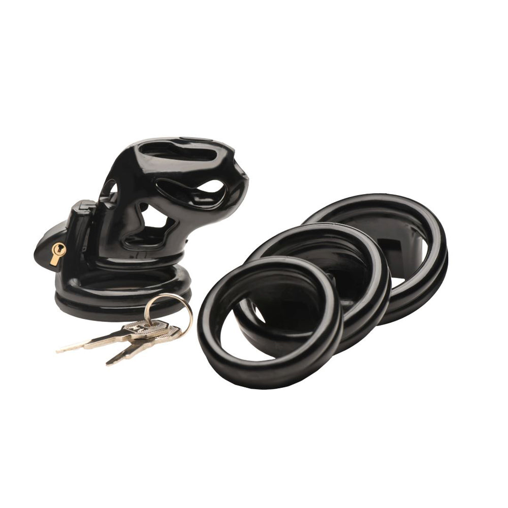 Black plastic double ring chastity cage with keys and four rings.