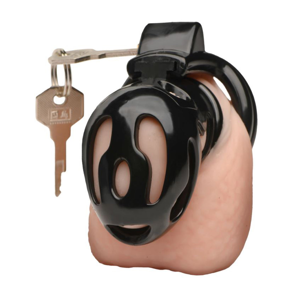 Black plastic chastity cage with a key and a simulated penis.
