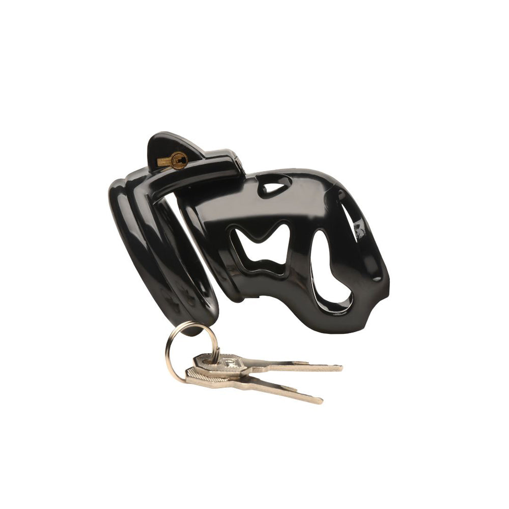 Black plastic chastity cage with a lock and two keys.