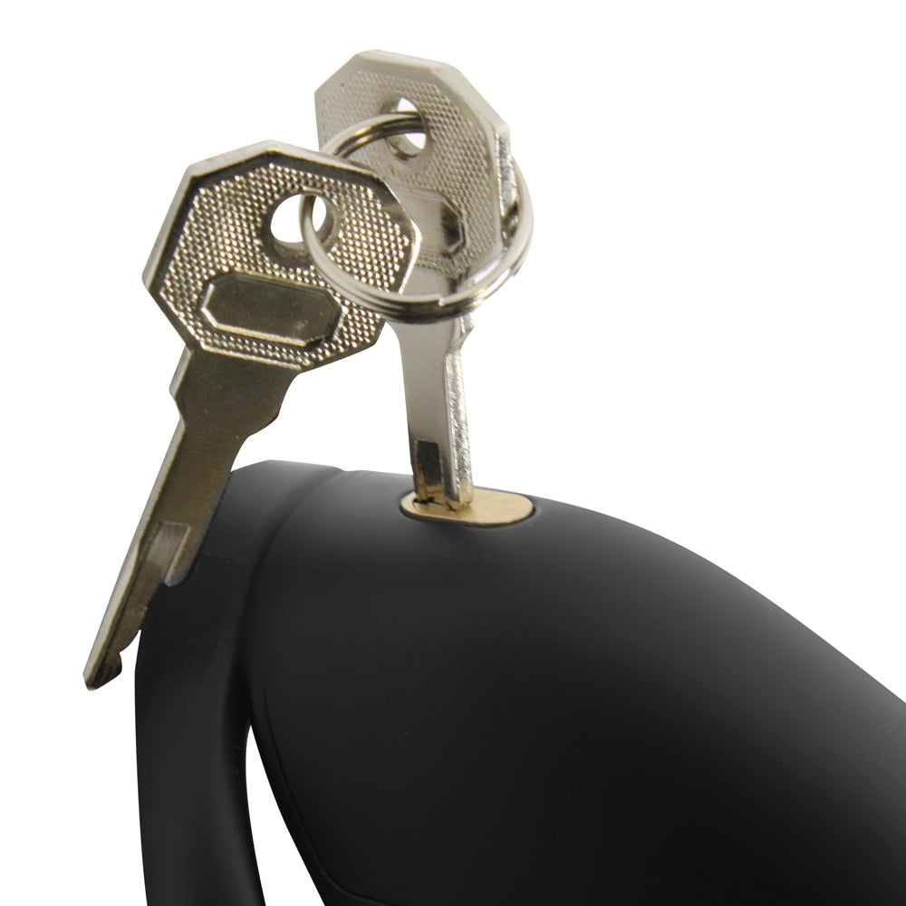 Two keys in a black chastity cage lock.