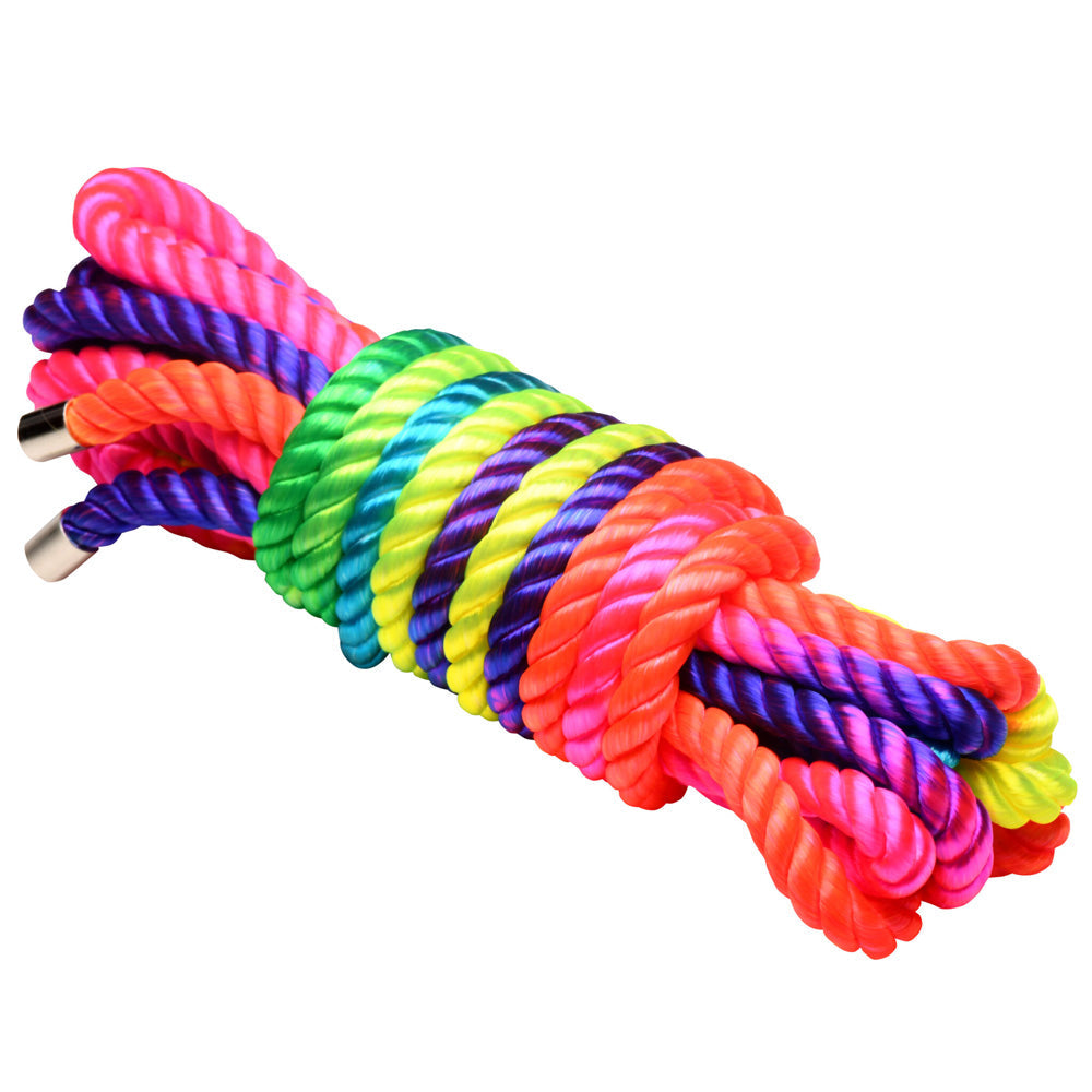 A bundle of colorful rainbow twisted nylon rope with metal ends.