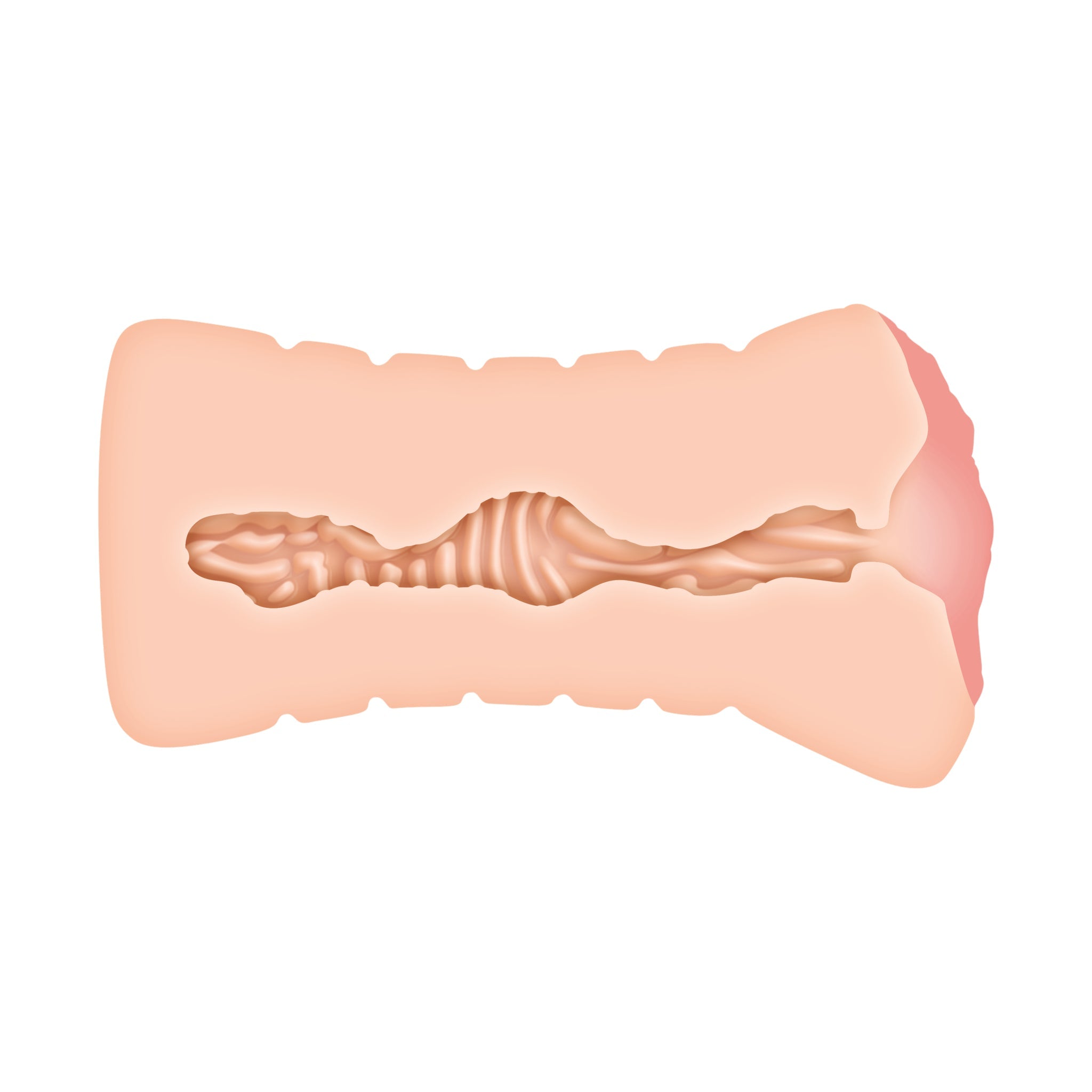 A realistic vagina stroker with a textured interior.