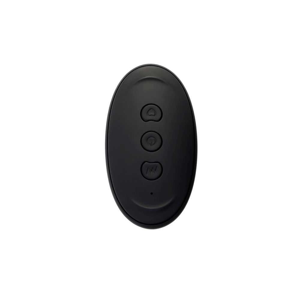 Black oval remote with three buttons.