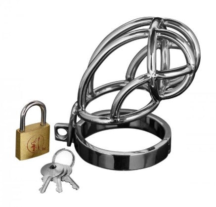 Stainless steel chastity cage with lock and keys.