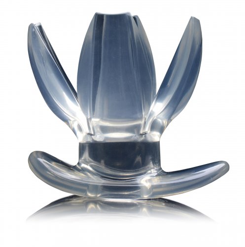 Clear expanding anal dilator with a viewing port and petal-like design.