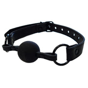 Black leather ball gag with adjustable buckle strap.