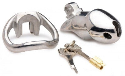 Stainless steel locking chastity cage with two keys.