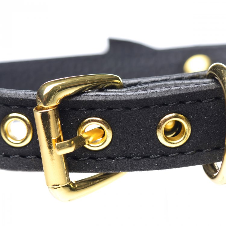 Black PU leather collar with gold buckle and eyelets.