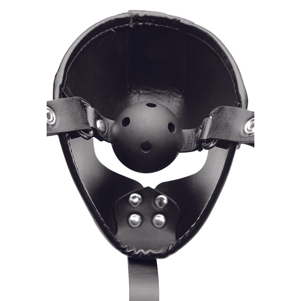 Black leather hood with a removable ball gag and adjustable straps.