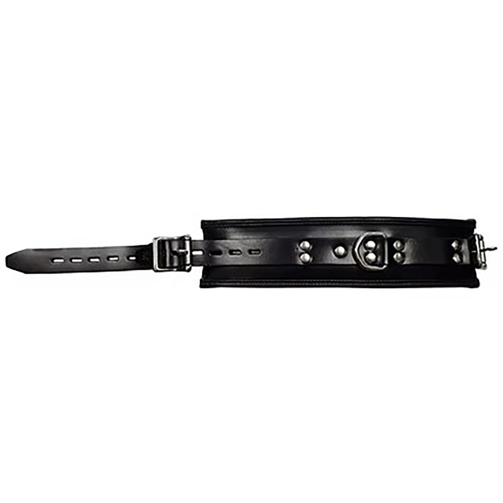 Black leather padded cuff and collar extender with buckle and D-ring.