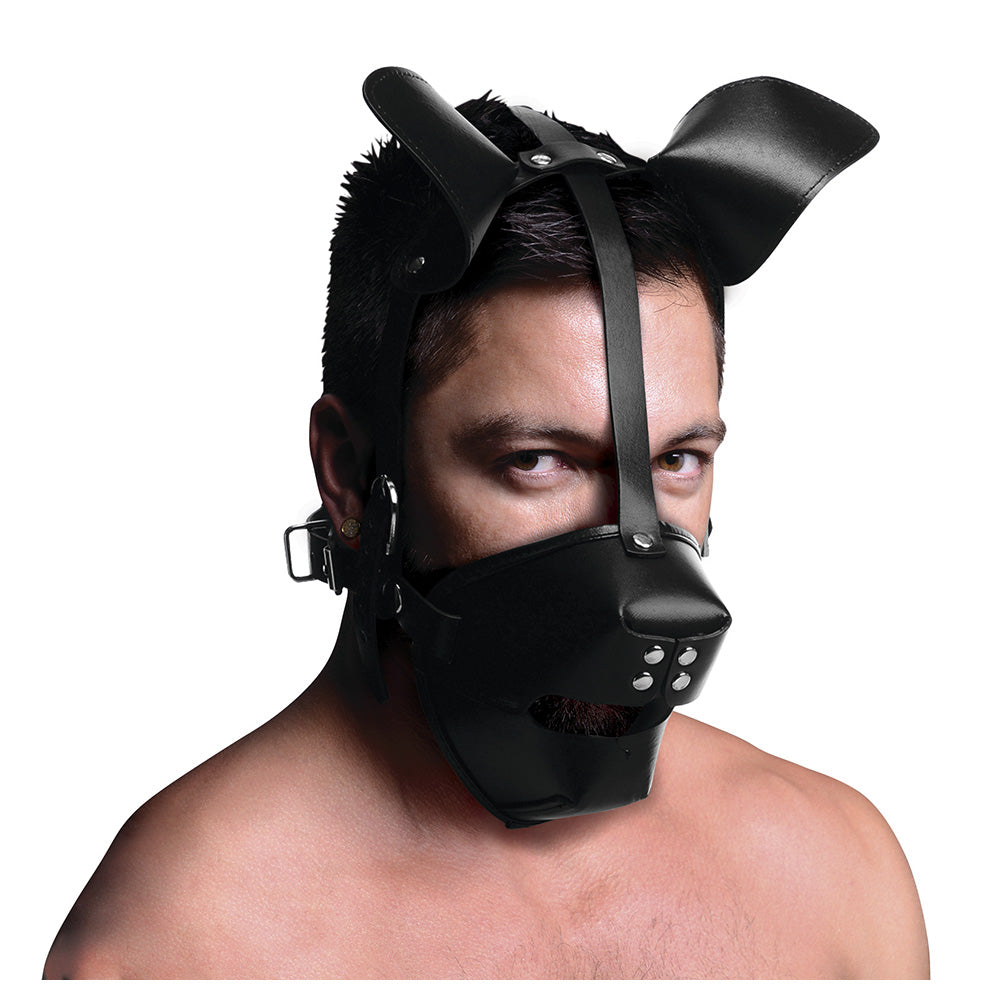 Black leather puppy hood with ears and a removable ball gag.