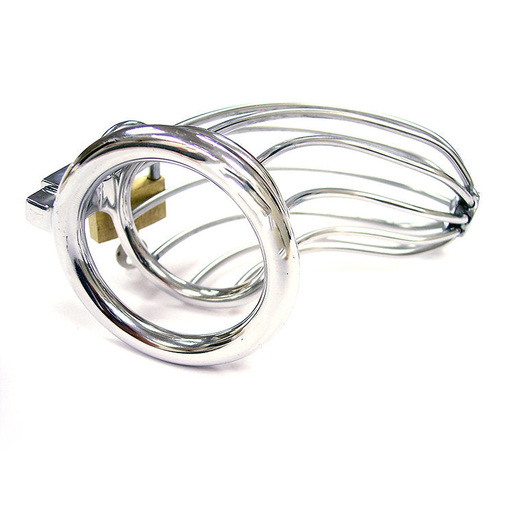 Stainless steel chastity cage with padlock and open design.