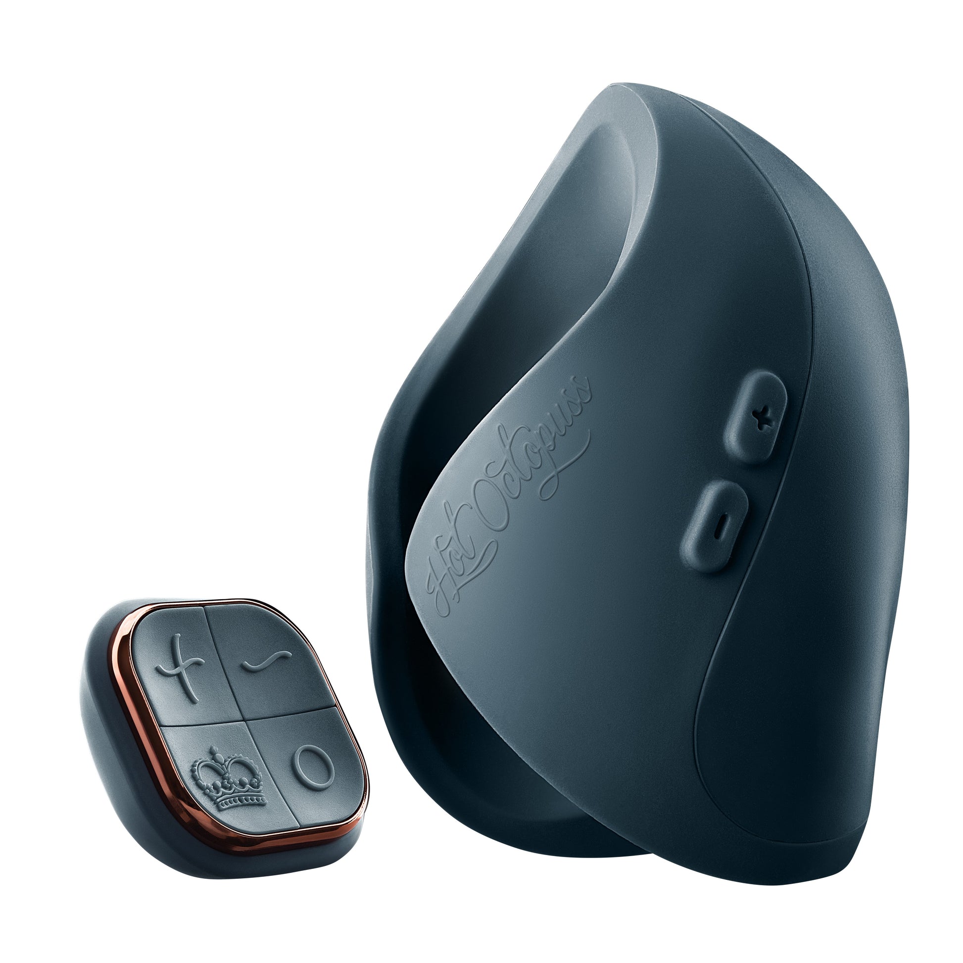 A dark grey remote-controlled vibrator with a matching remote.