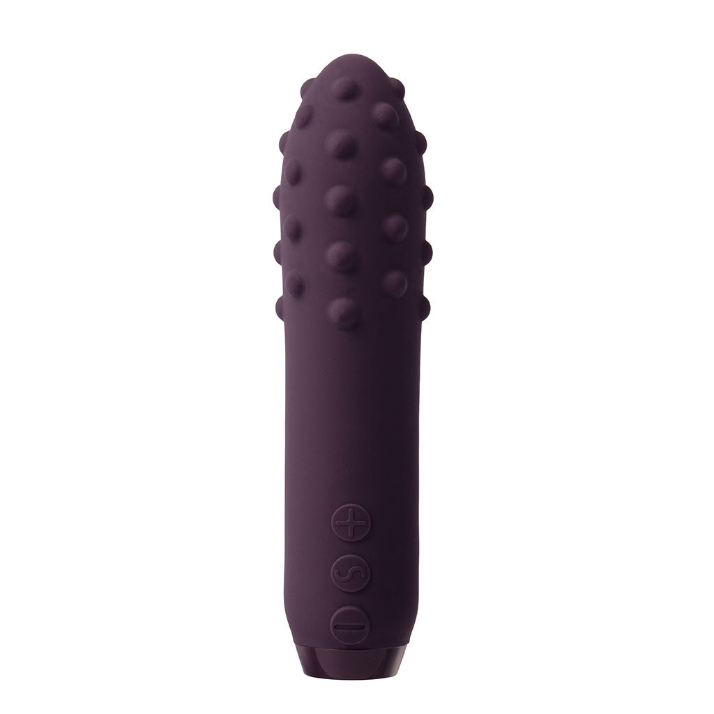 Purple silicone bullet vibrator with raised bumps and control buttons.