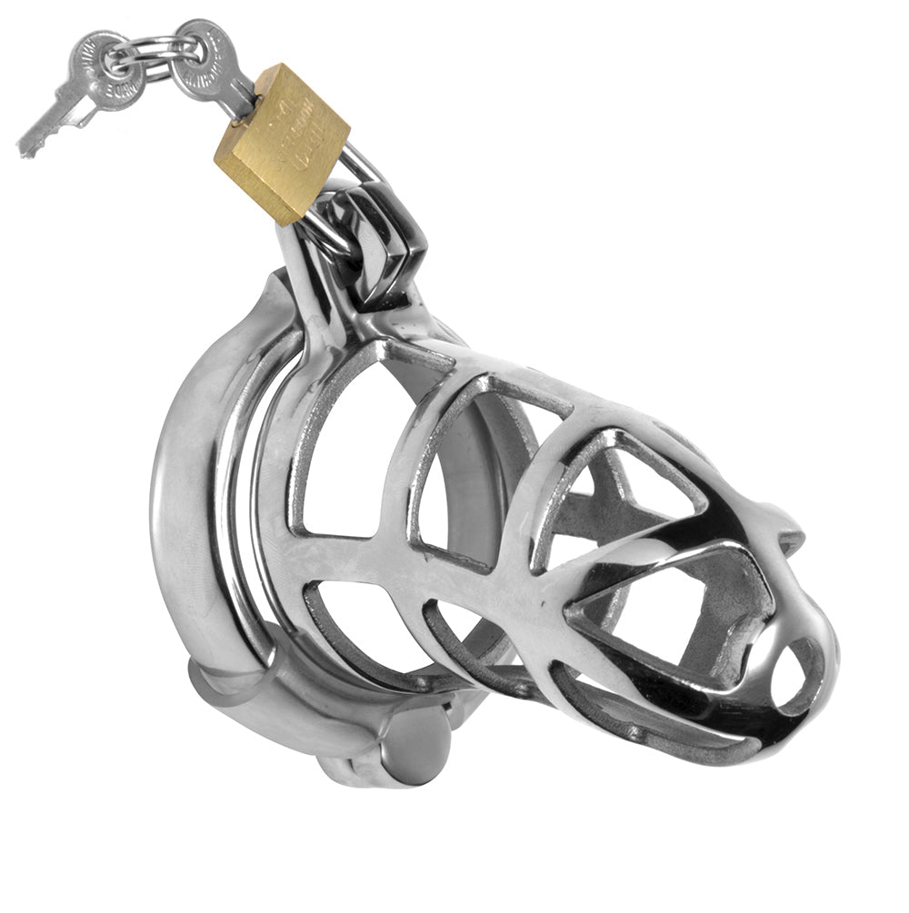 Stainless steel chastity cage with a padlock and two keys.