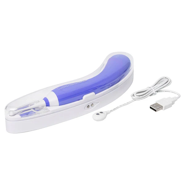 Purple Lovense dual-ended vibrator with charging case and USB cable.
