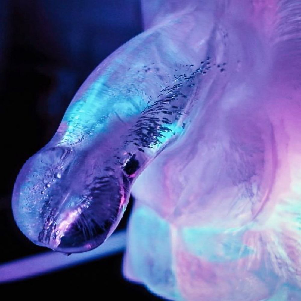 A novelty penis-shaped ice luge mould with blue and purple lighting.