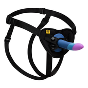 A black harness with a multi-colored silicone dildo attached.