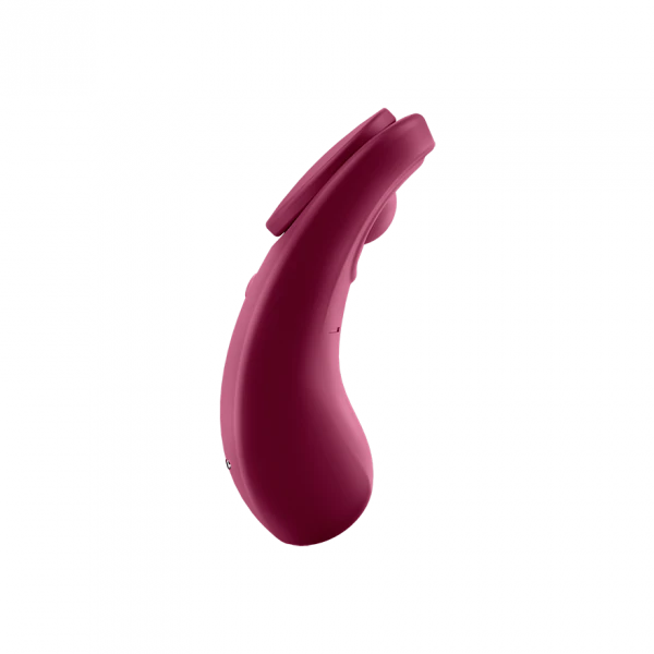 Wine red app-controlled magnetic panty vibrator.