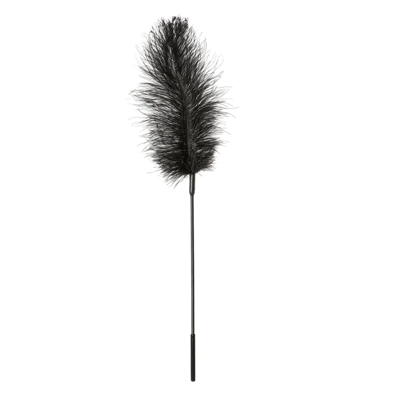 Black ostrich feather tickler wand with a long handle.