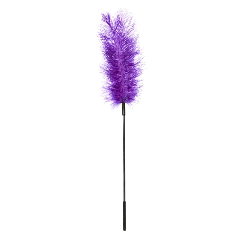 Purple ostrich feather tickler wand with black handle.