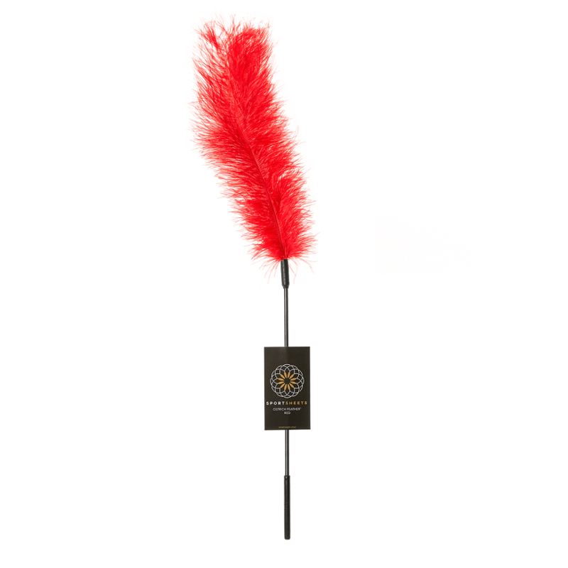A red ostrich feather tickler wand with a black handle.