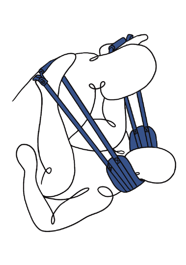 Doggy strap with adjustable padded handles and crossed strap support.